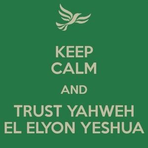 Meet your Posher, Tariq